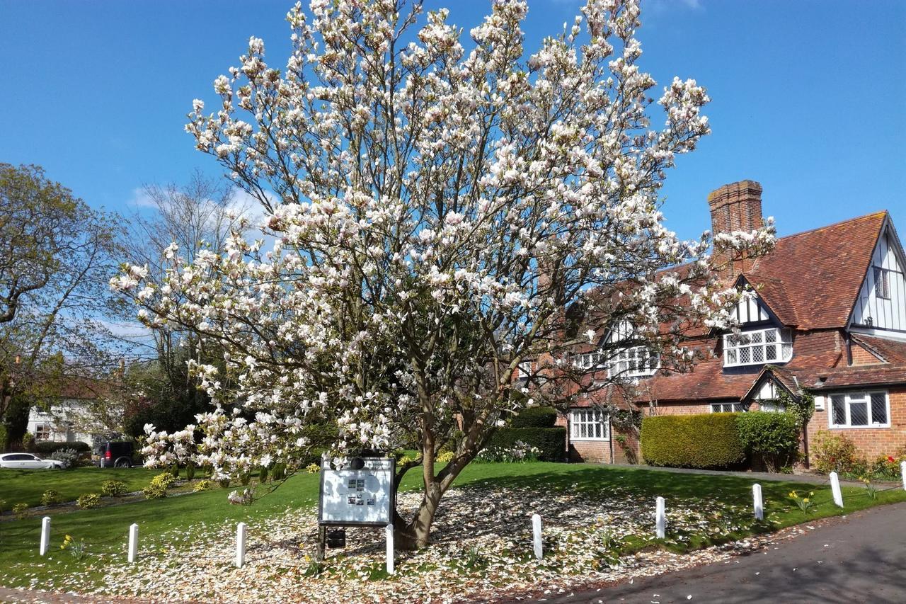 The Brickwall Hotel Sedlescombe Exterior photo