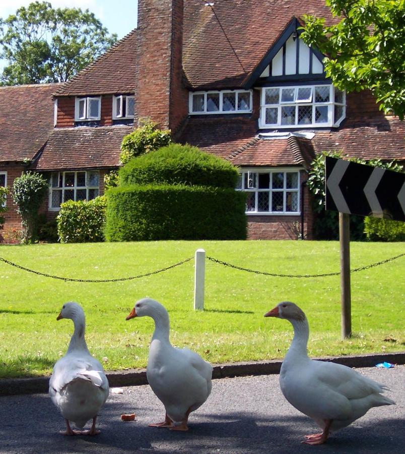 The Brickwall Hotel Sedlescombe Exterior photo